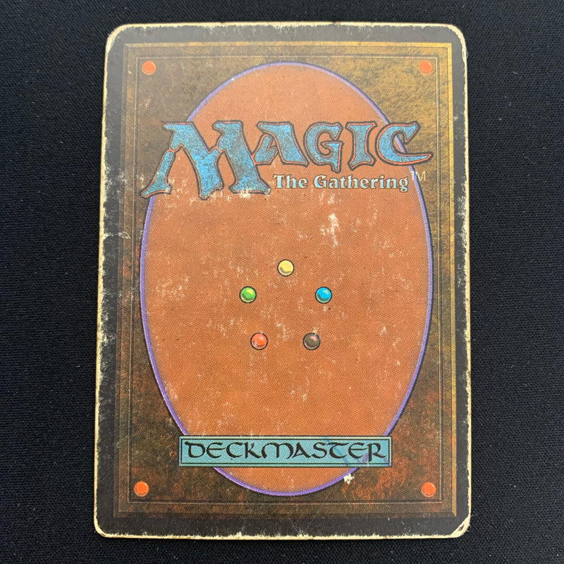 Magic the Gathering Bayou - Revised 