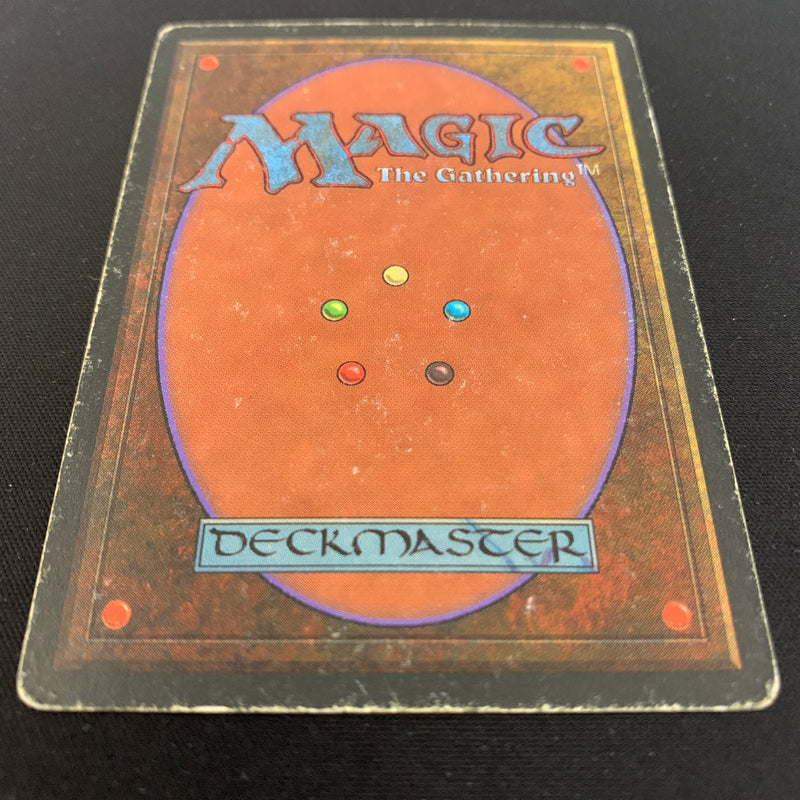 Magic the Gathering Bayou - Revised 