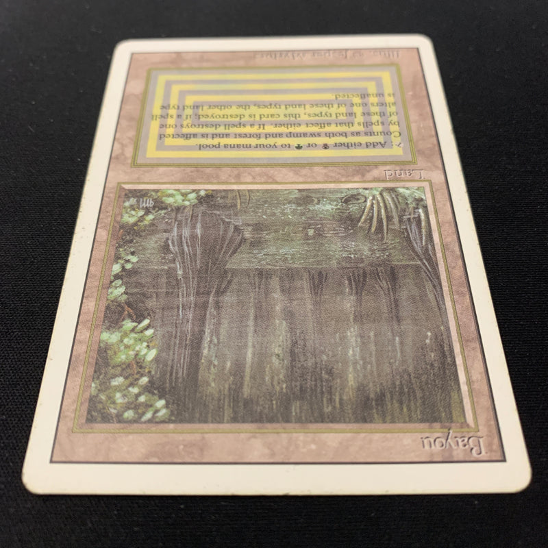 Magic the Gathering Bayou - Revised 