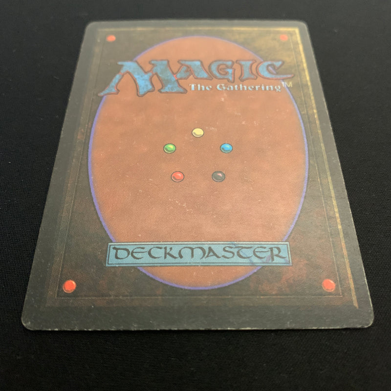 Magic the Gathering Bayou - Revised 