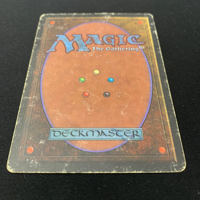 Magic the Gathering Bayou - Revised 