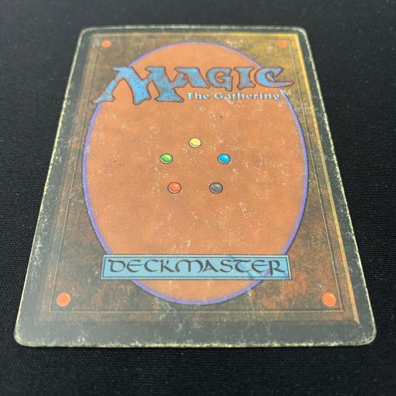 Magic the Gathering Bayou - Revised 