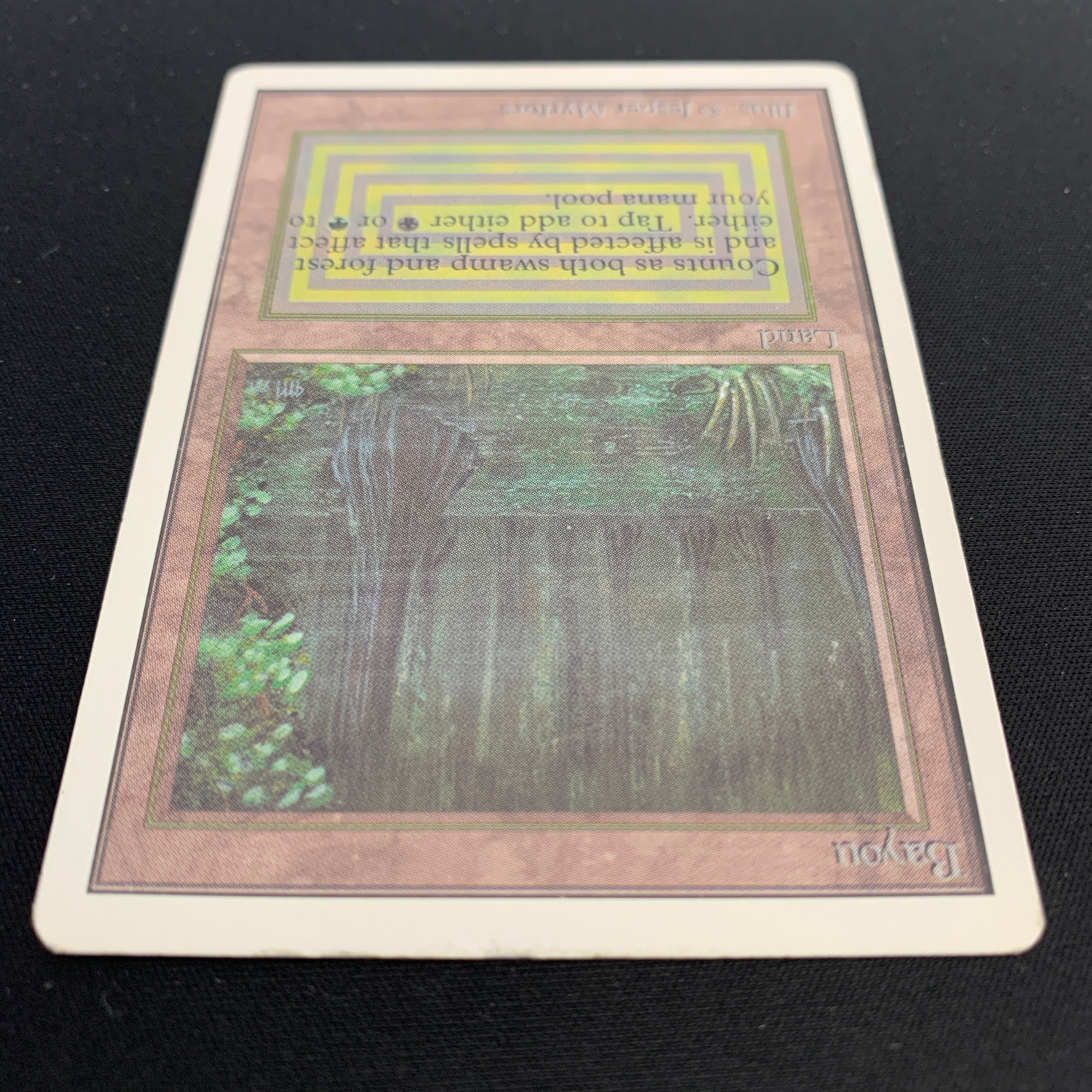 MTG Singles - Bayou - Unlimited - 