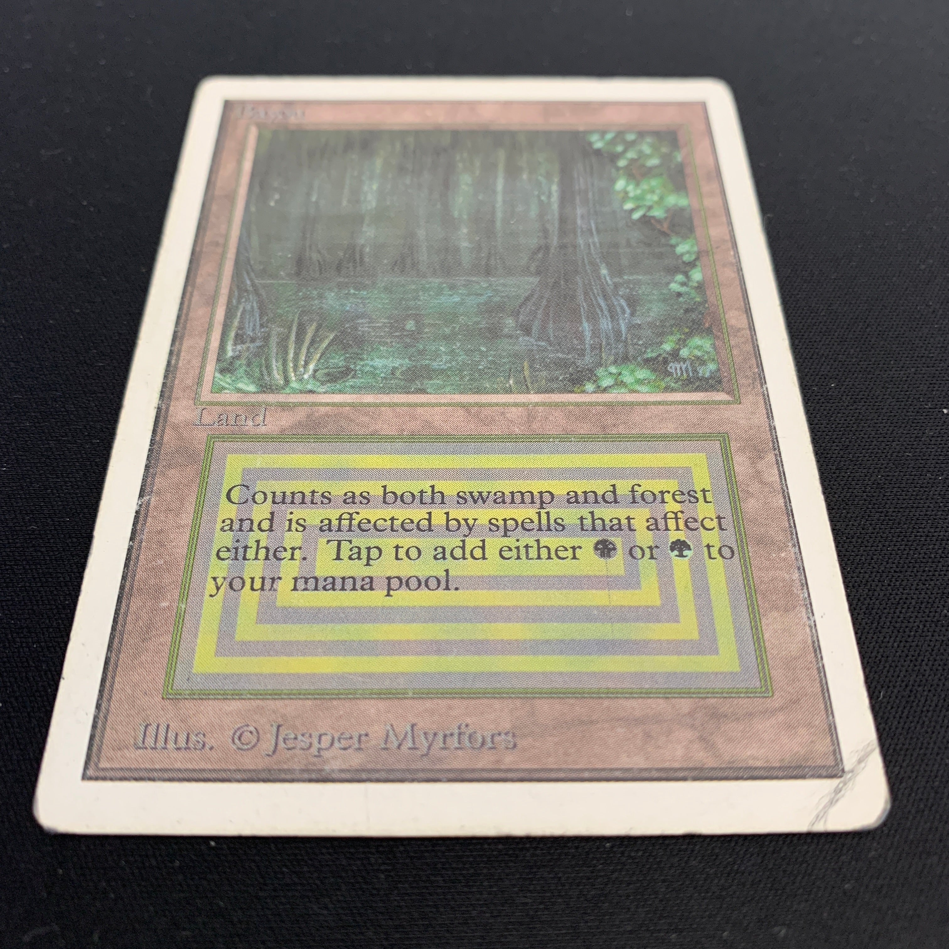 MTG Singles - Bayou - Unlimited - 