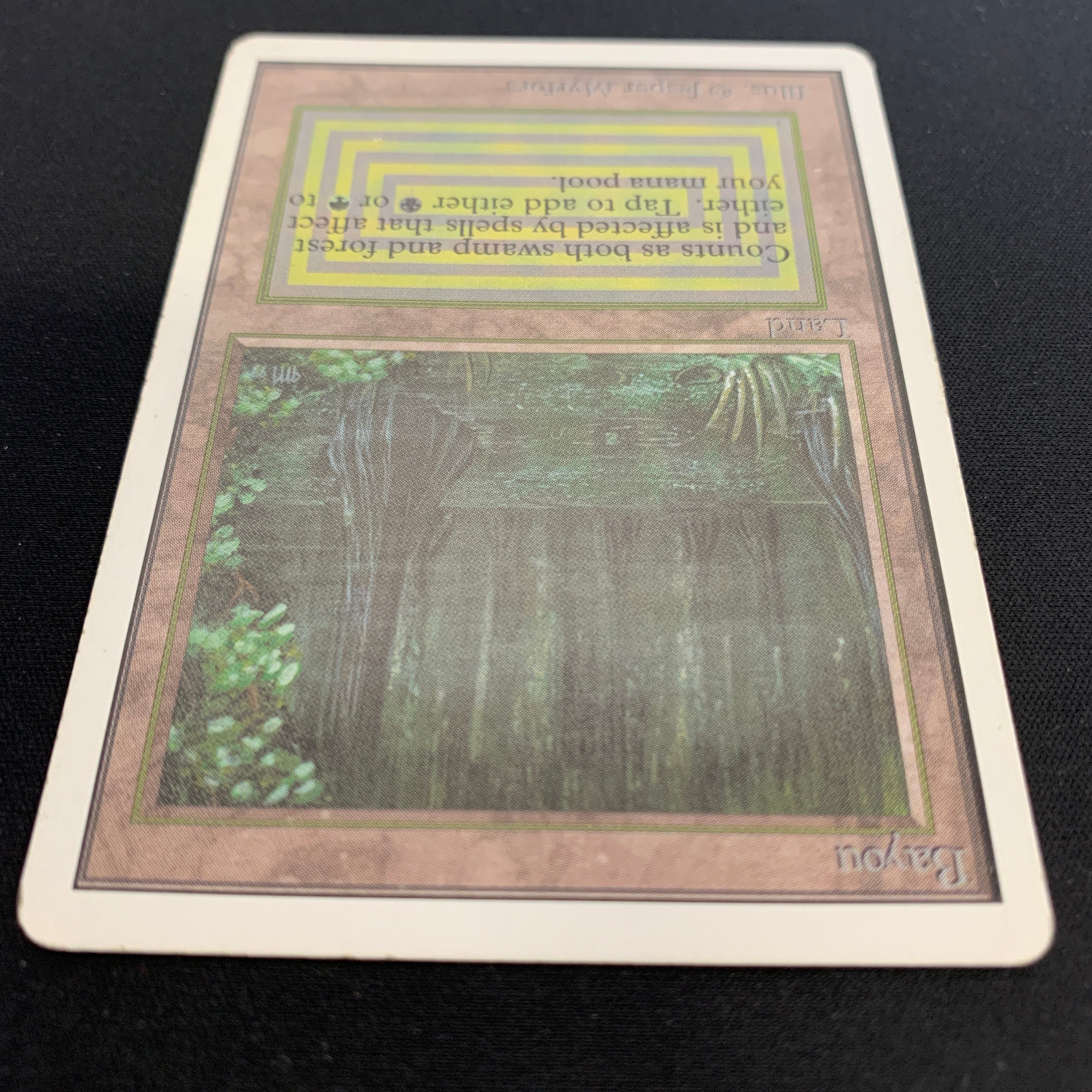 MTG Singles - Bayou - Unlimited - 