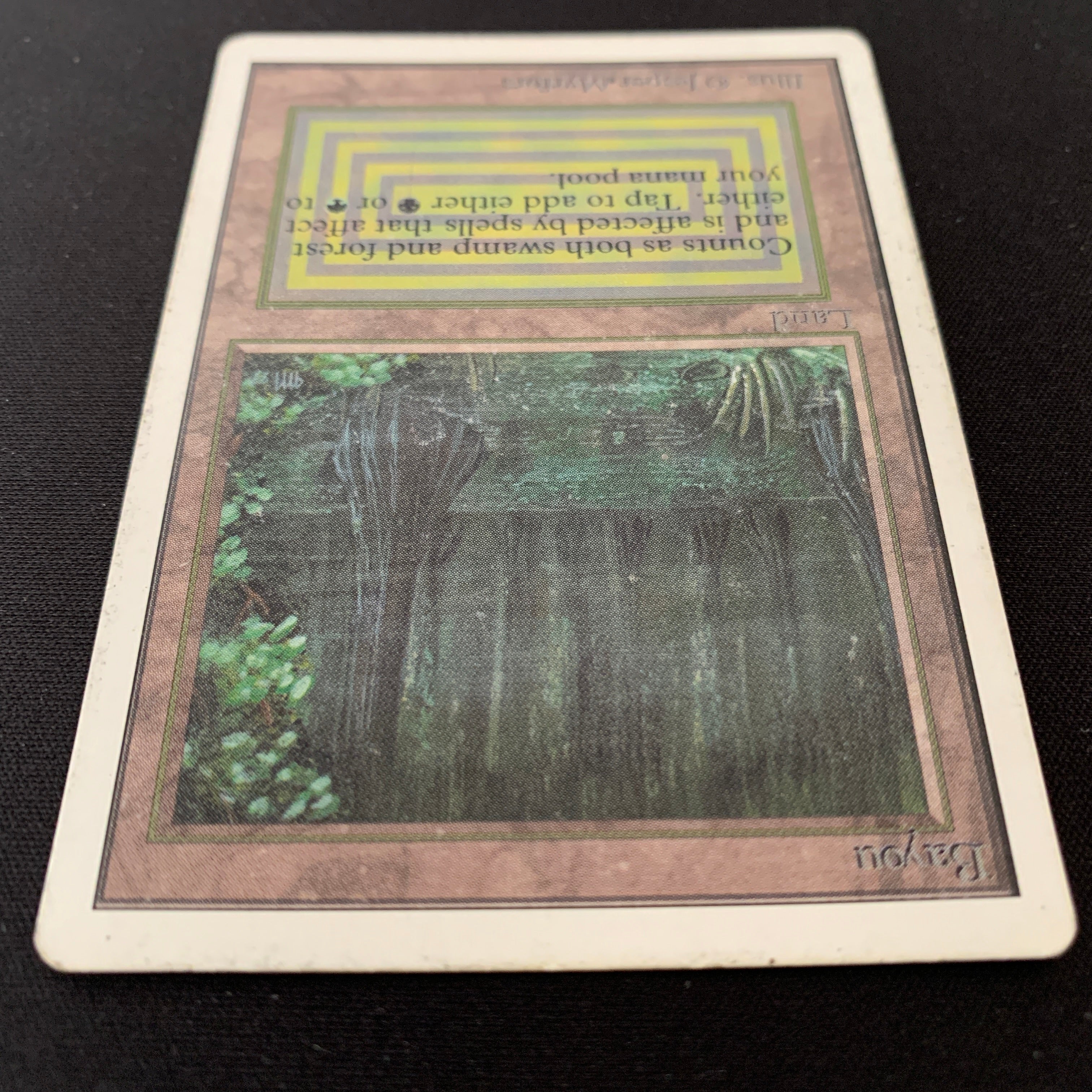 MTG Singles - Bayou - Unlimited - 