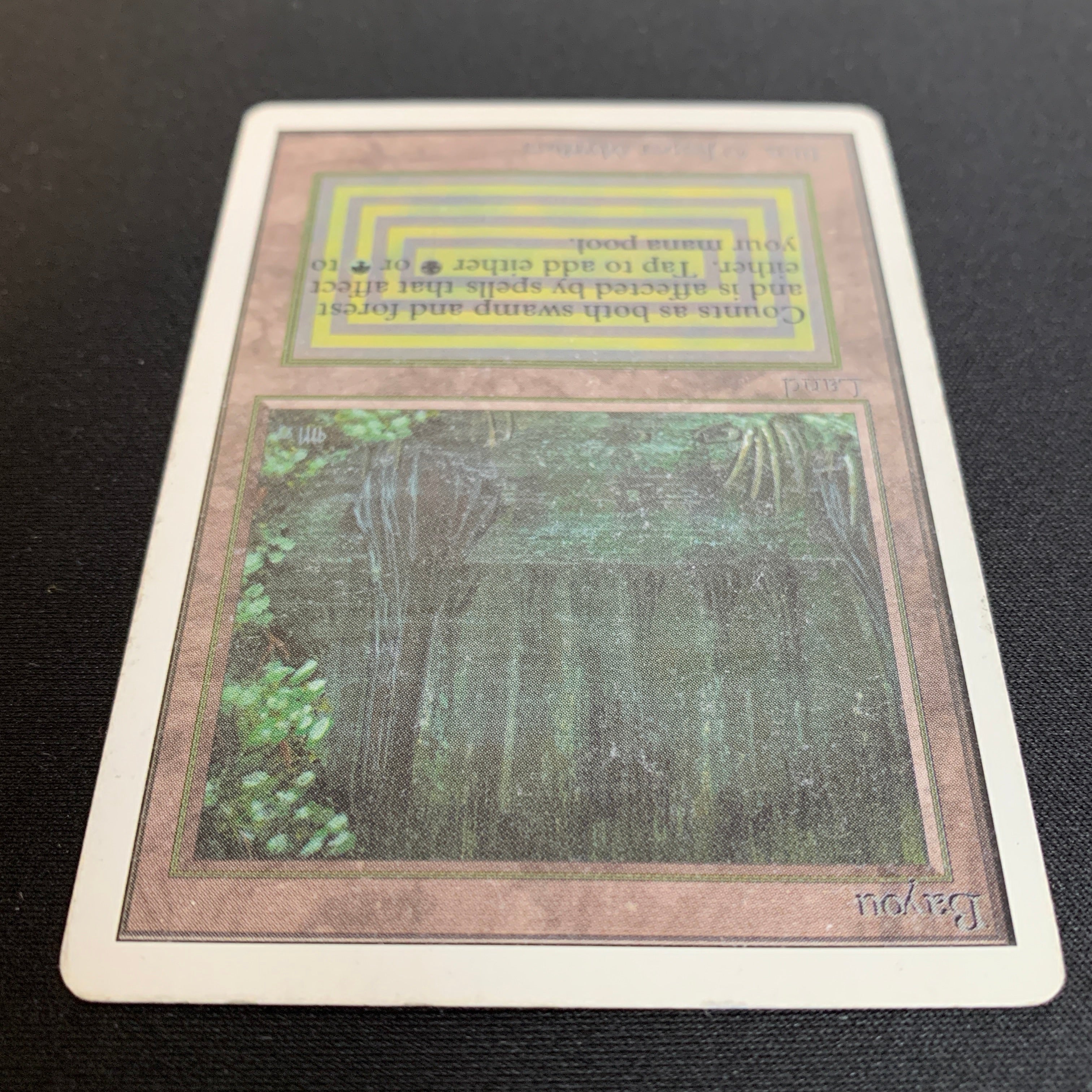 MTG Singles - Bayou - Unlimited - 