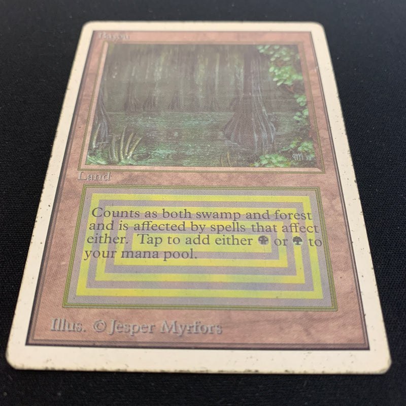 Magic the Gathering Bayou - Unlimited 