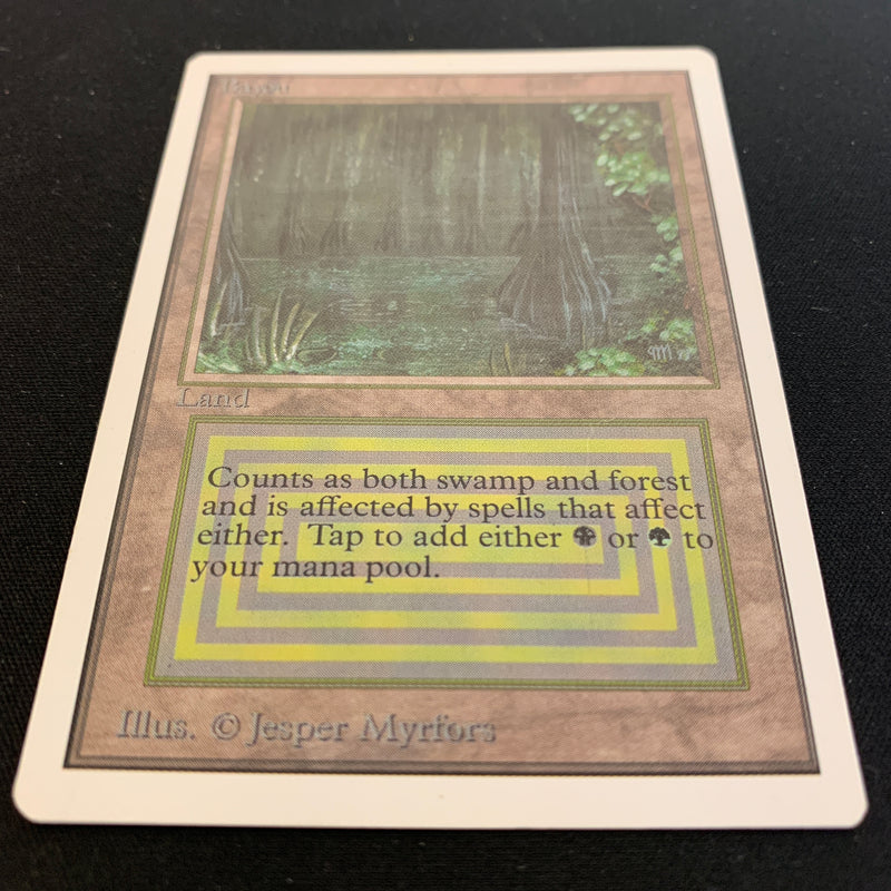 Magic the Gathering Bayou - Unlimited 