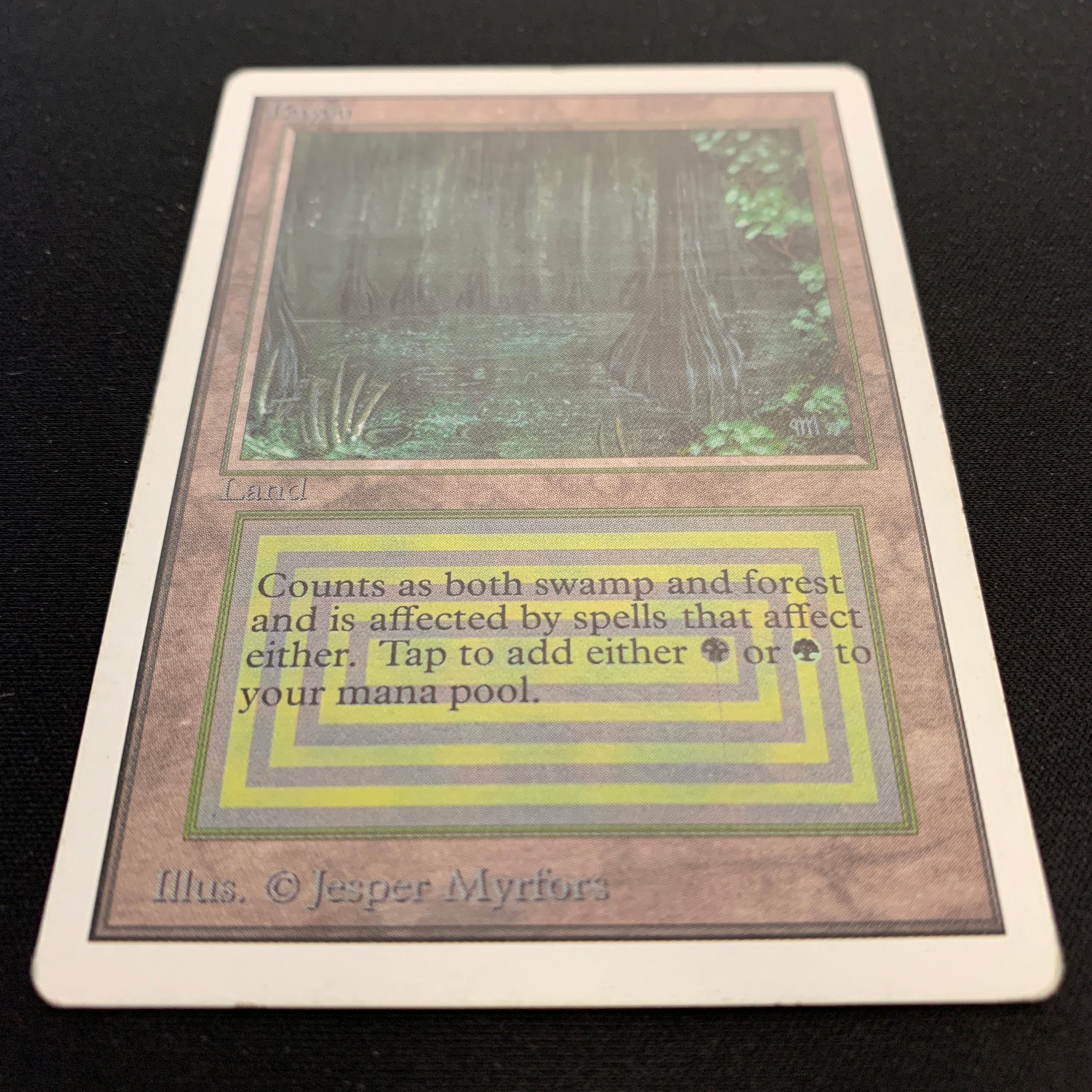 MTG Singles - Bayou - Unlimited - 