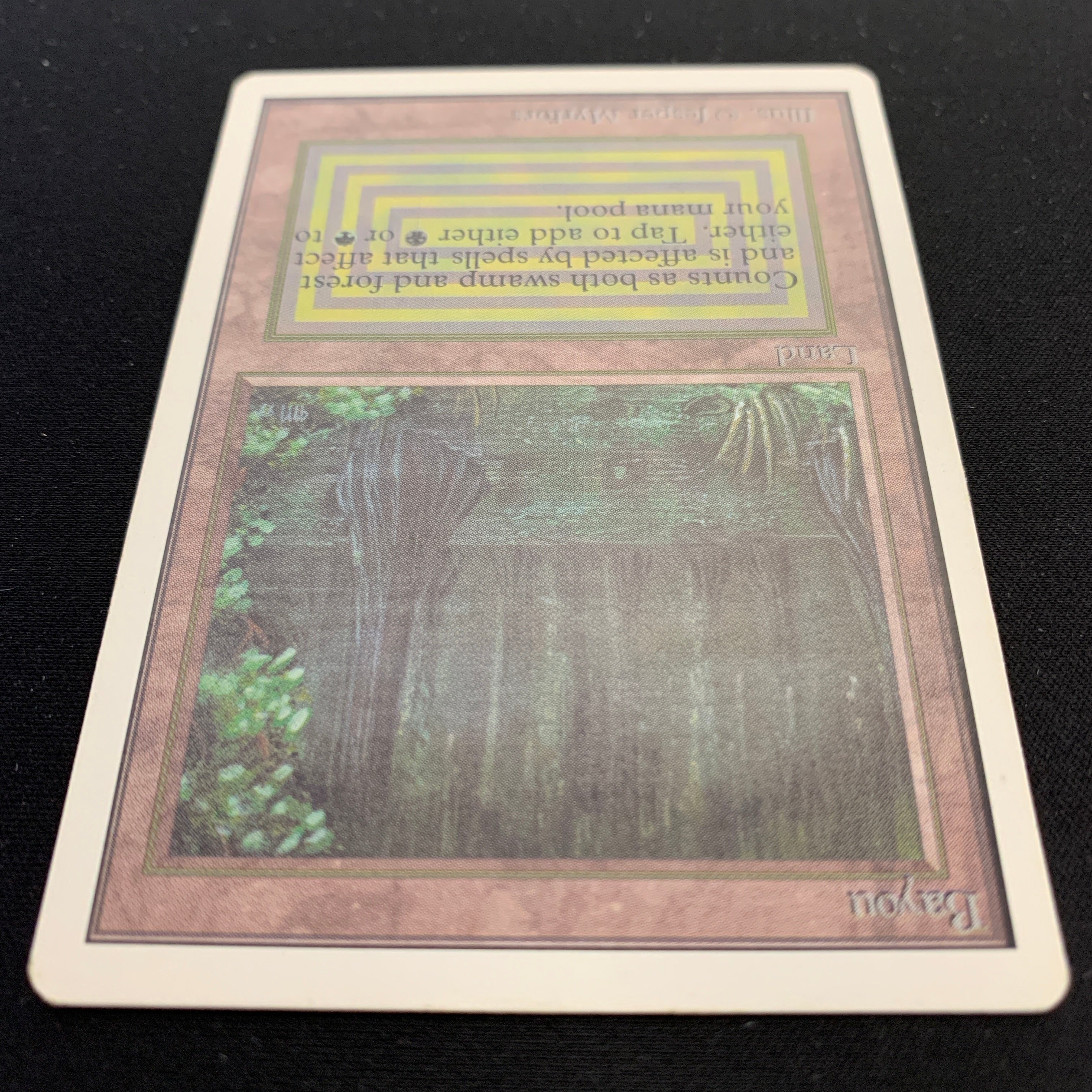 MTG Singles - Bayou - Unlimited - 