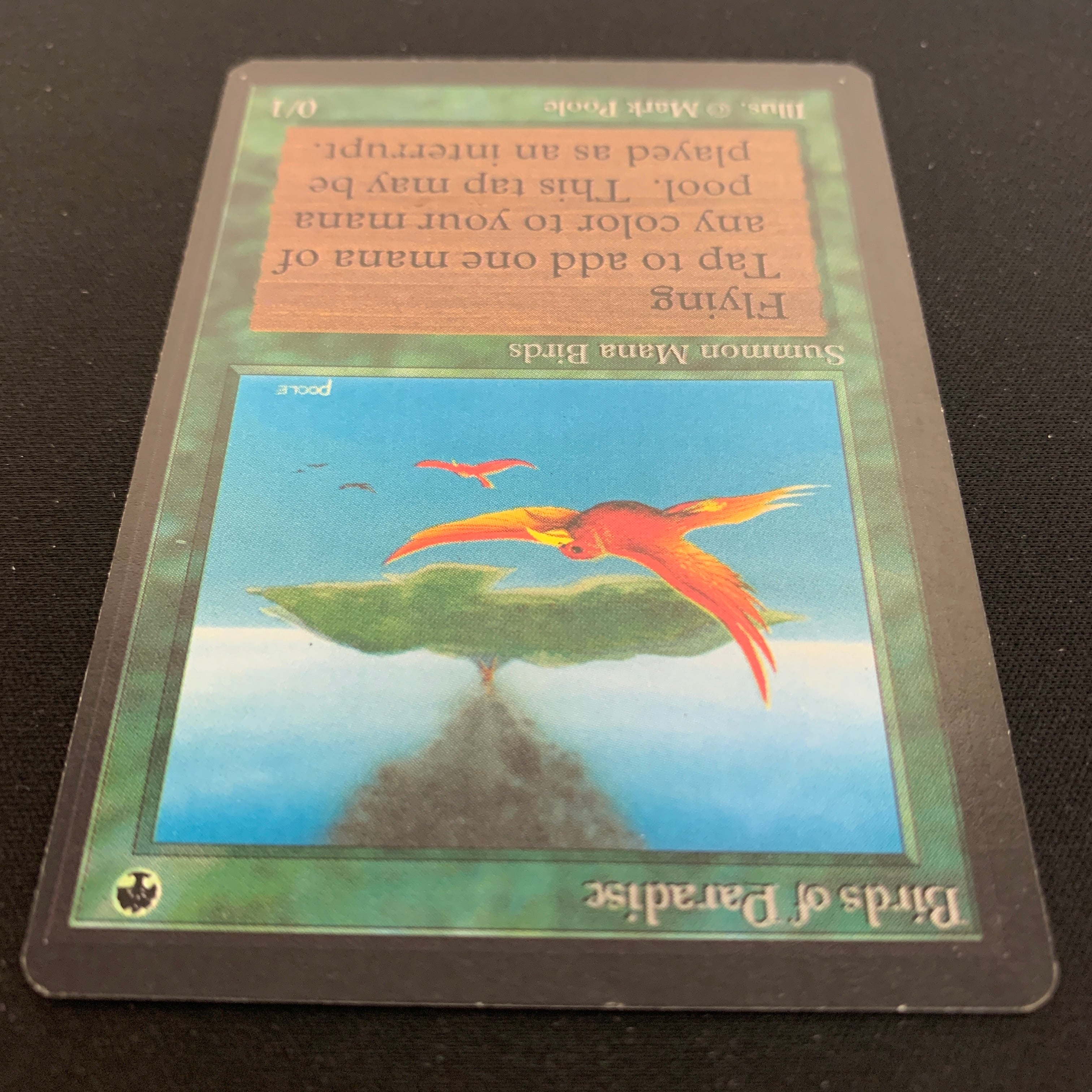 MTG Singles - Birds of Paradise - Beta - 