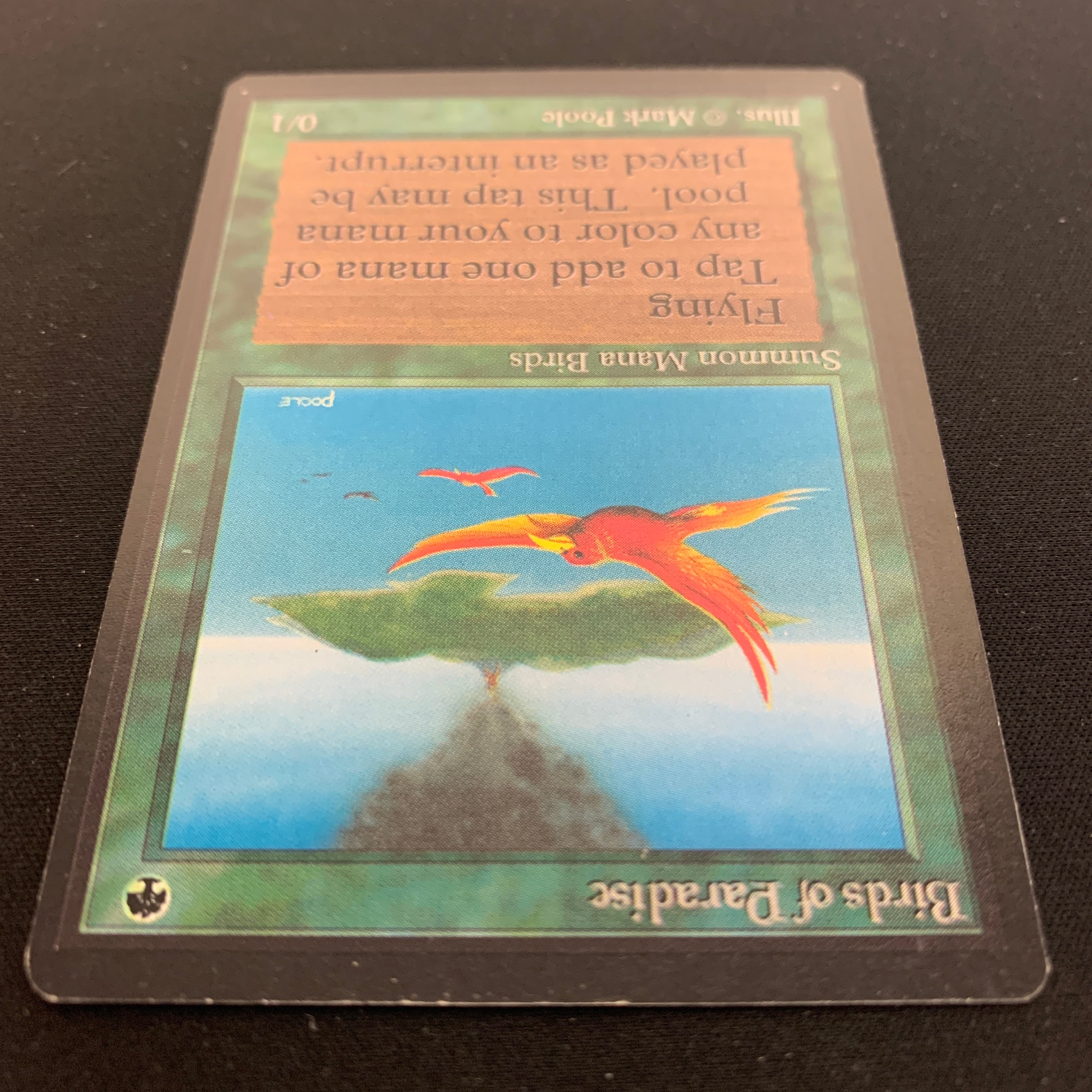 MTG Singles - Birds of Paradise - Beta - 