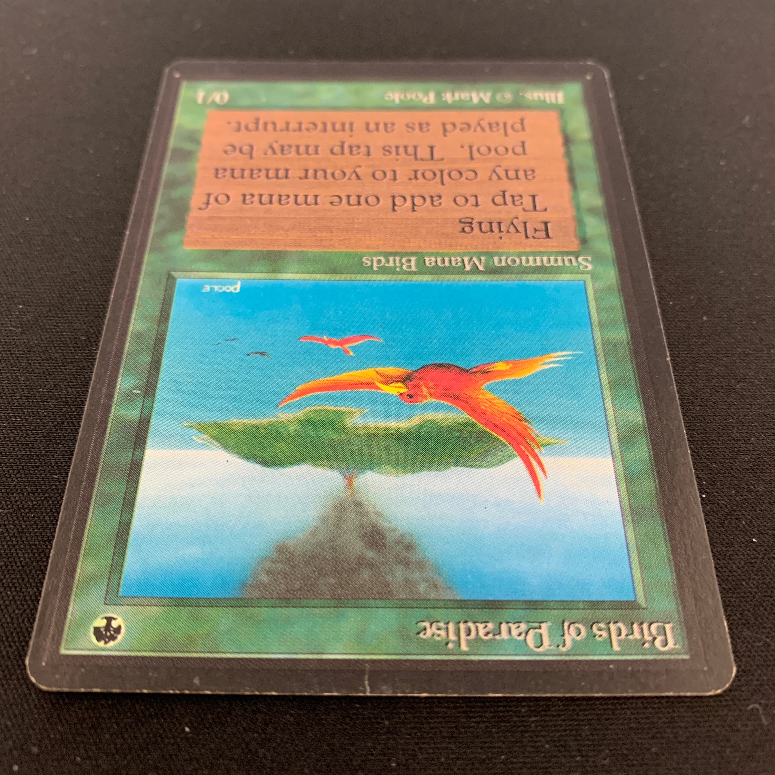 MTG Singles - Birds of Paradise - Beta - 