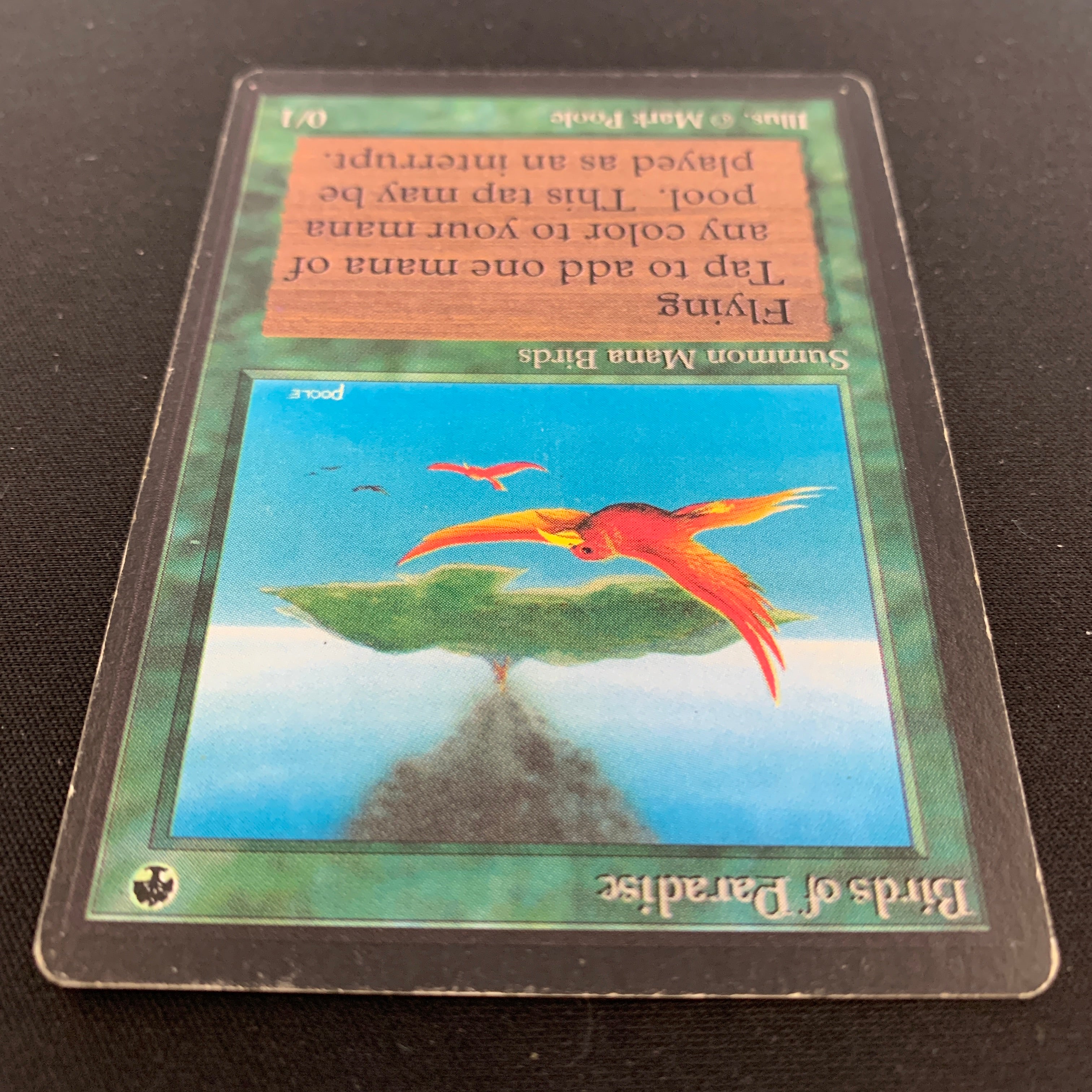 MTG Singles - Birds of Paradise - Beta - 