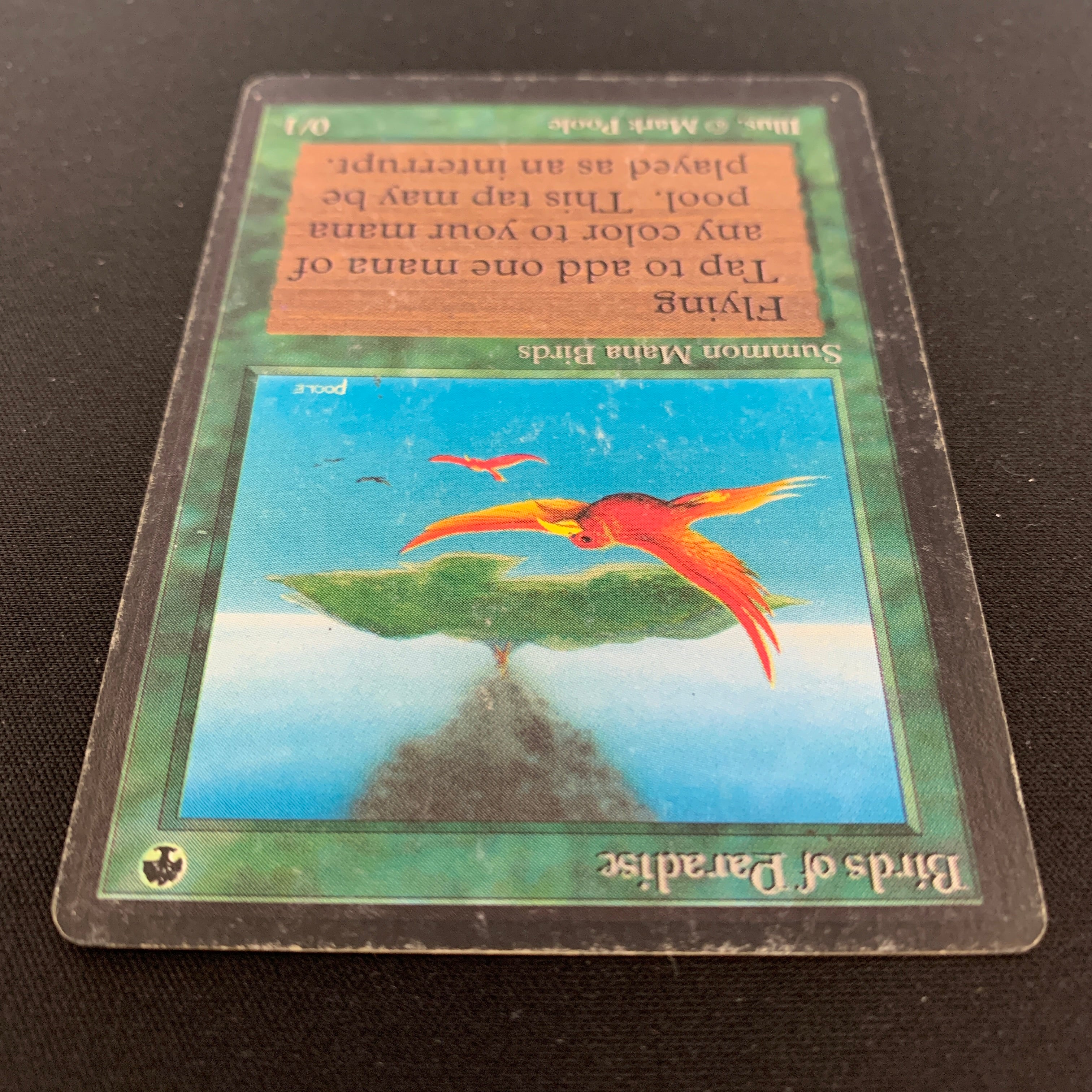 MTG Singles - Birds of Paradise - Beta - 