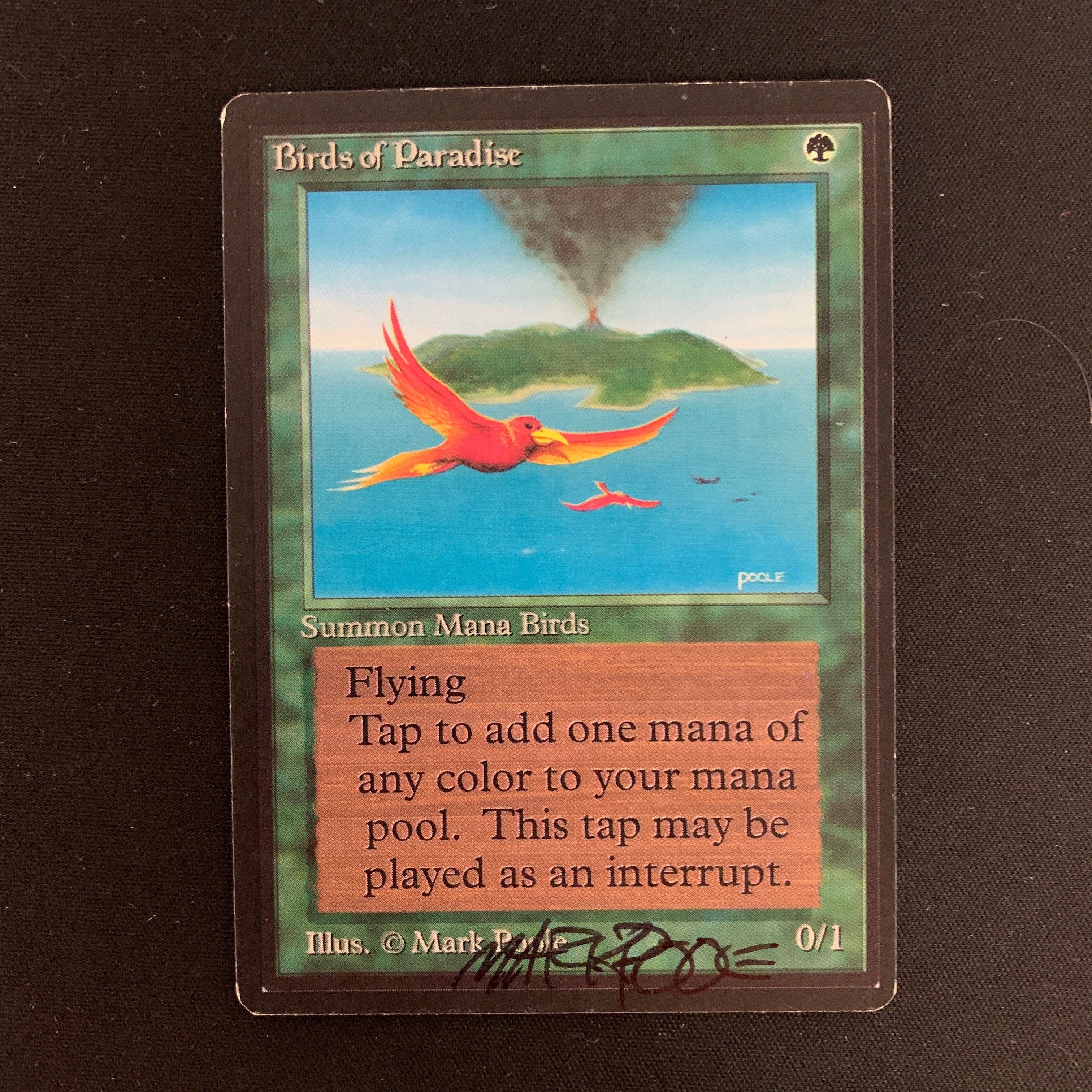 MTG Singles - Birds of Paradise - Beta - 