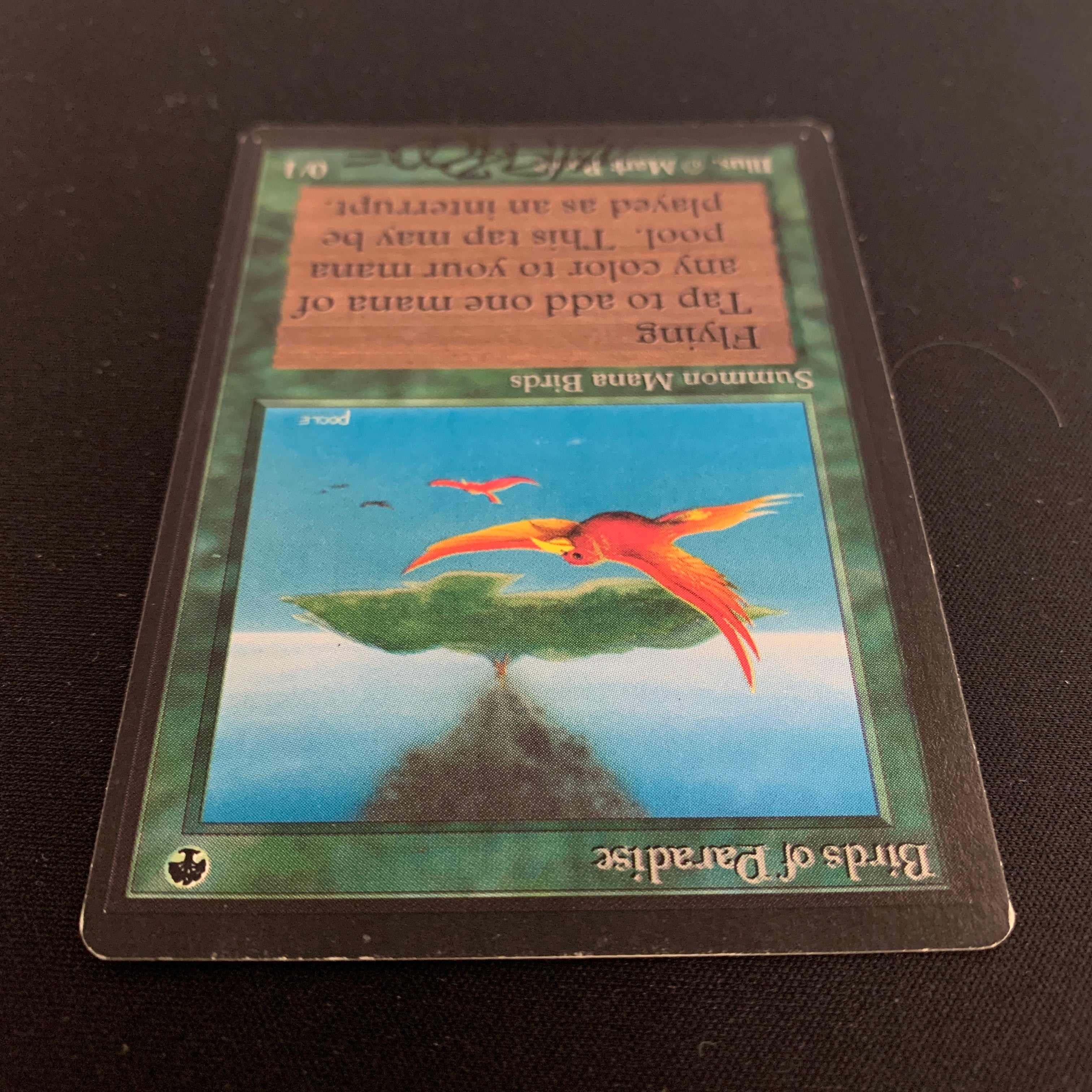 MTG Singles - Birds of Paradise - Beta - 