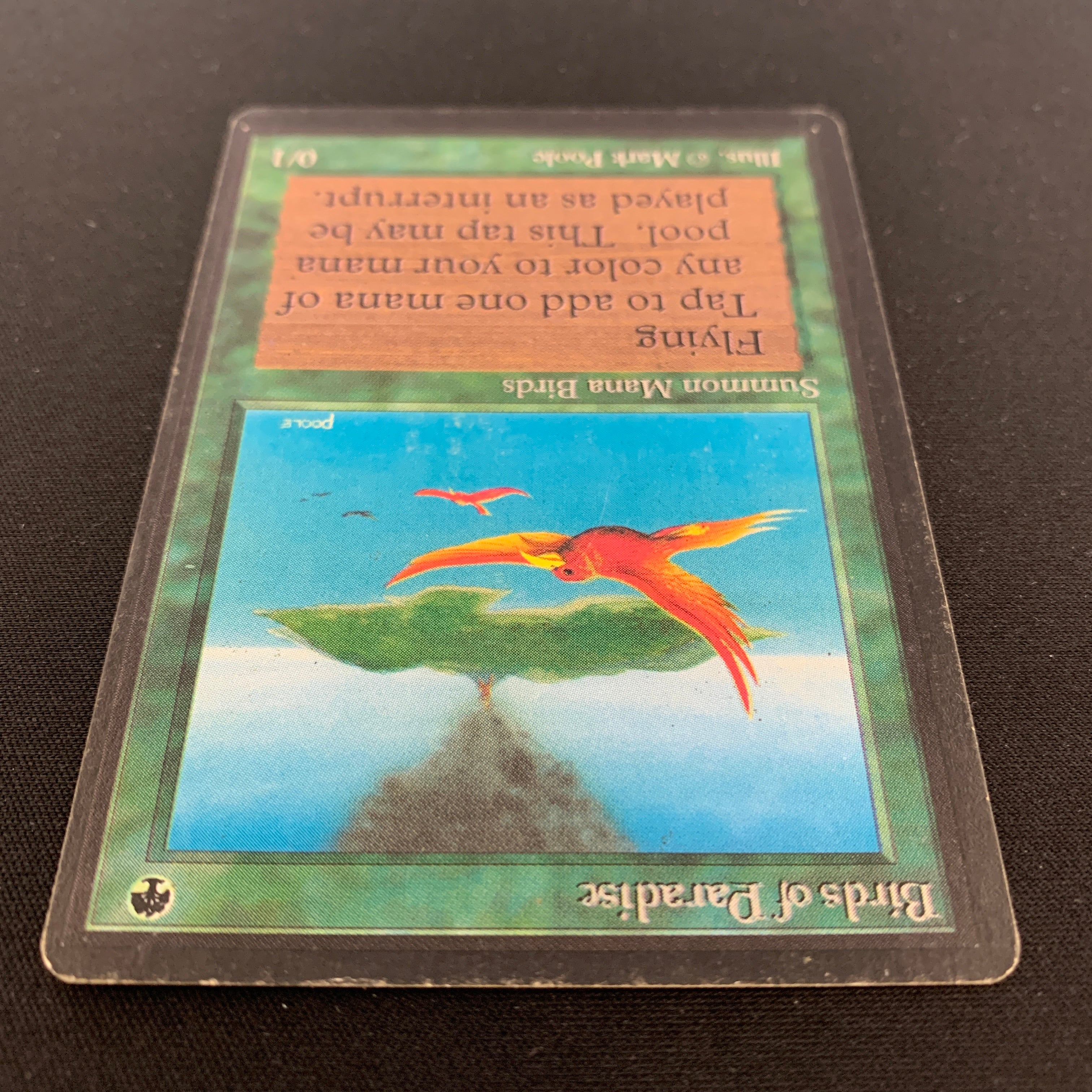 MTG Singles - Birds of Paradise - Beta - 