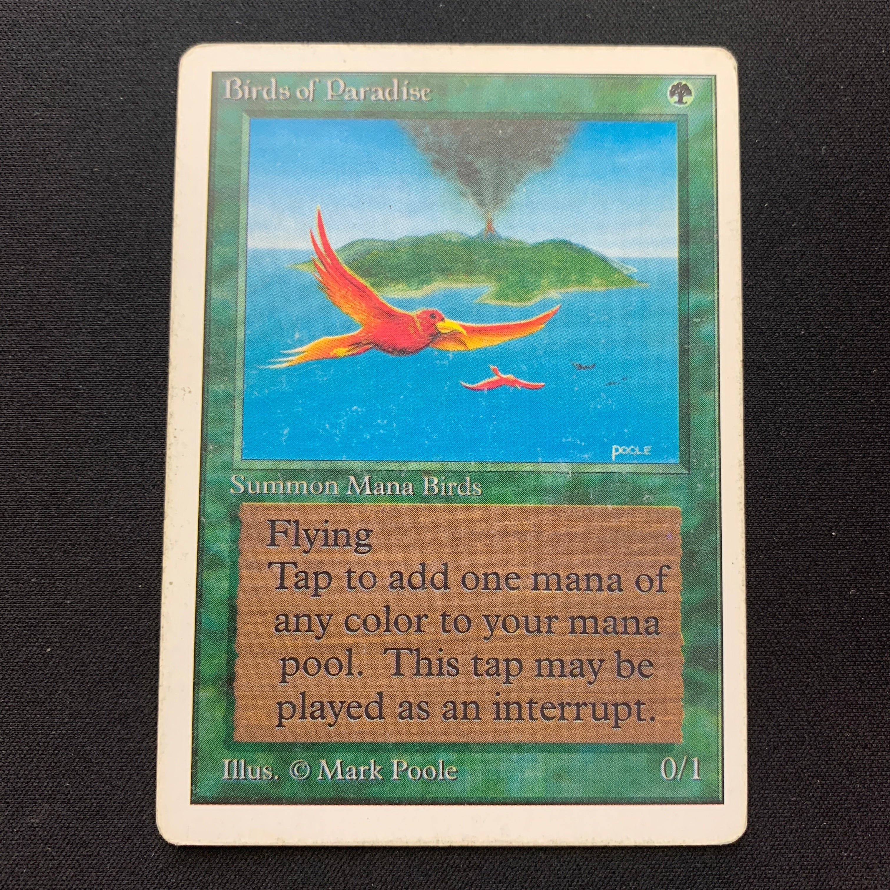 MTG Singles - Birds of Paradise - Unlimited - 