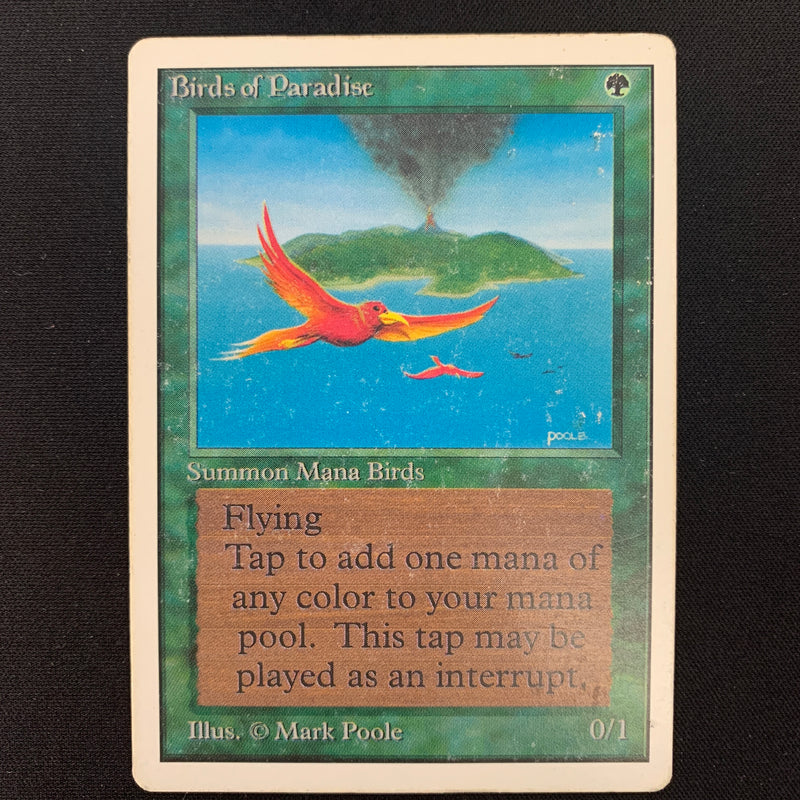 Magic the Gathering Birds of Paradise - Unlimited 