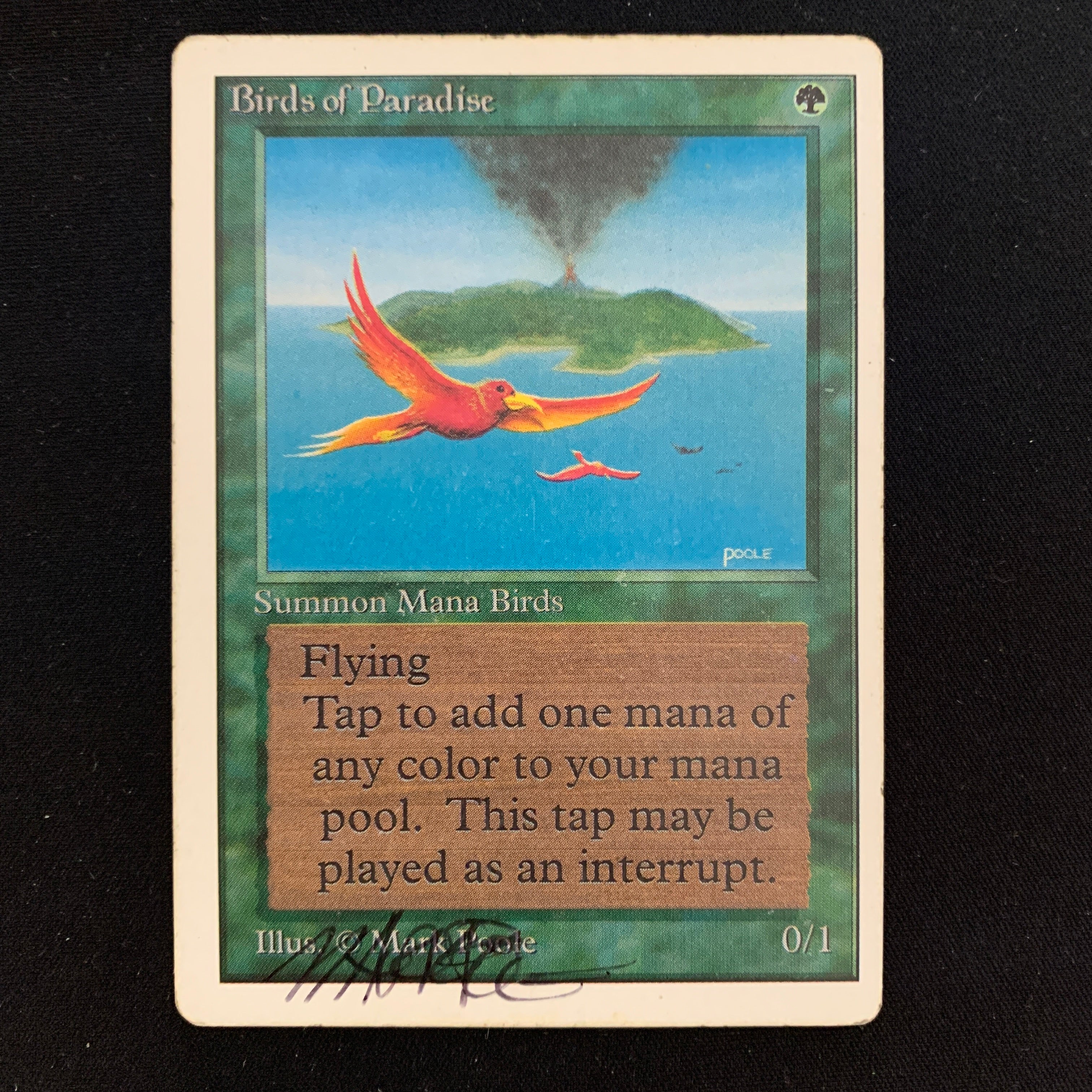 MTG Singles - Birds of Paradise - Unlimited - 