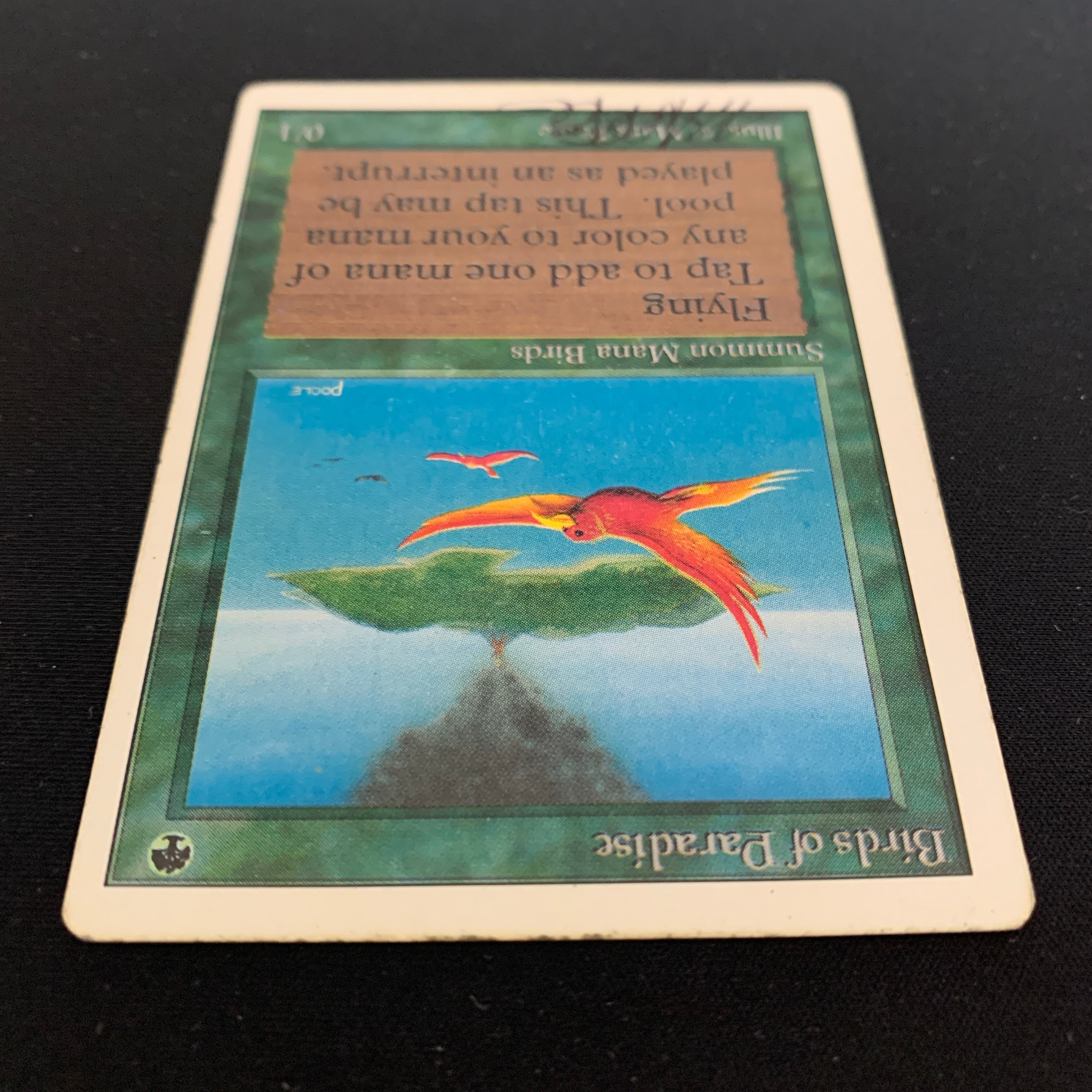 MTG Singles - Birds of Paradise - Unlimited - 