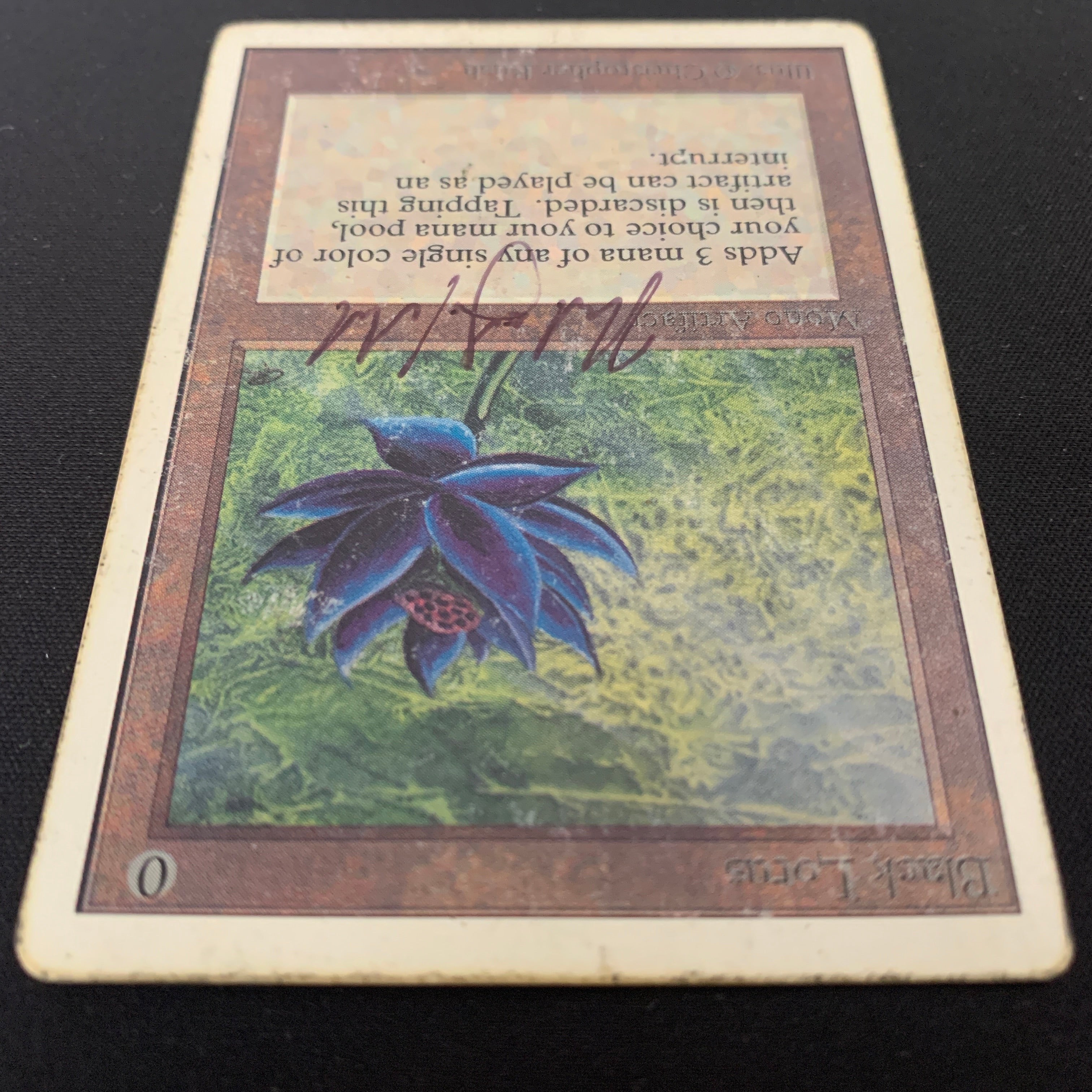 MTG Singles - Black Lotus - Unlimited - 