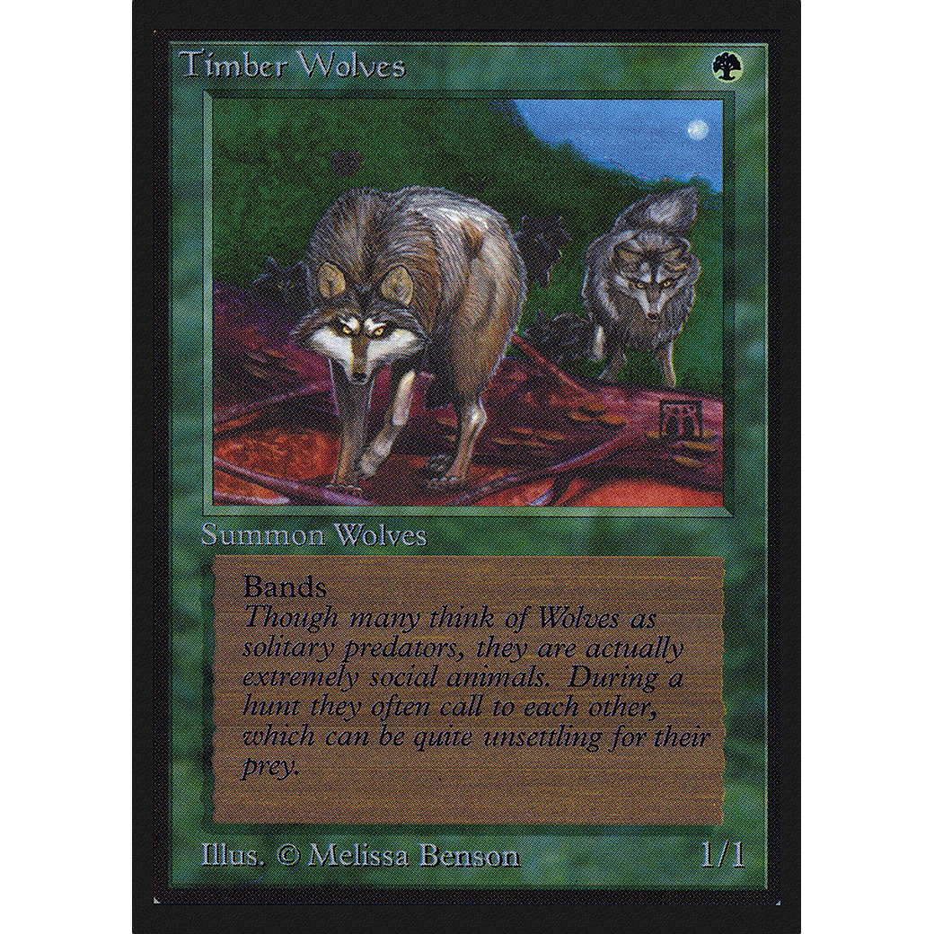 MTG Singles - Timber Wolves - International Edition - Regular