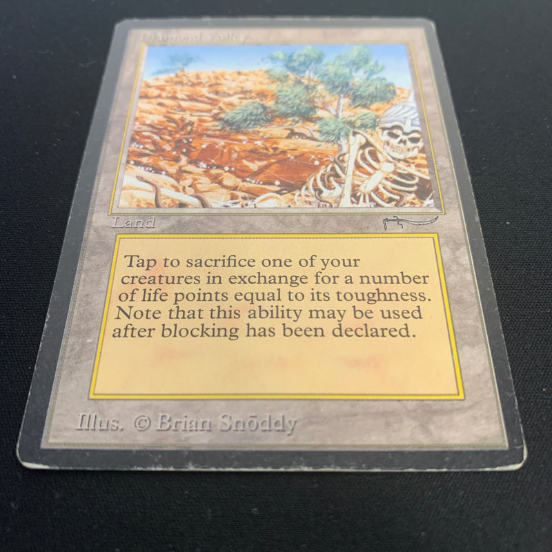 Magic the Gathering Diamond Valley - Arabian Nights 