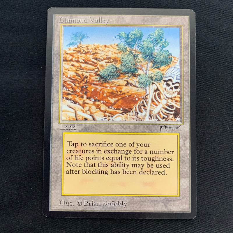 Magic the Gathering Diamond Valley - Arabian Nights 