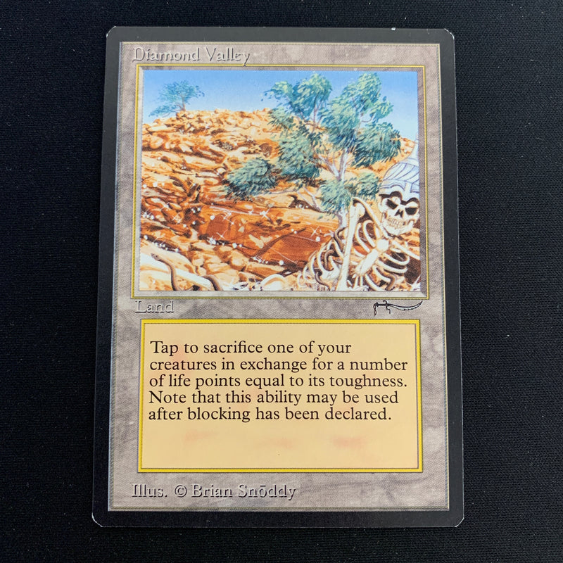 Magic the Gathering Diamond Valley - Arabian Nights 