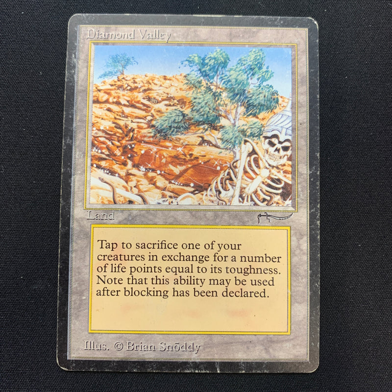 Magic the Gathering Diamond Valley - Arabian Nights 