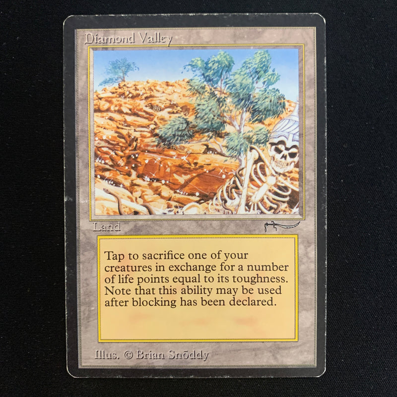 Magic the Gathering Diamond Valley - Arabian Nights PL - 22337