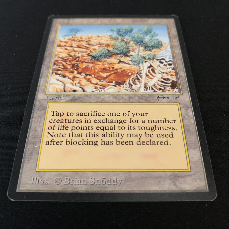 Magic the Gathering Diamond Valley - Arabian Nights 