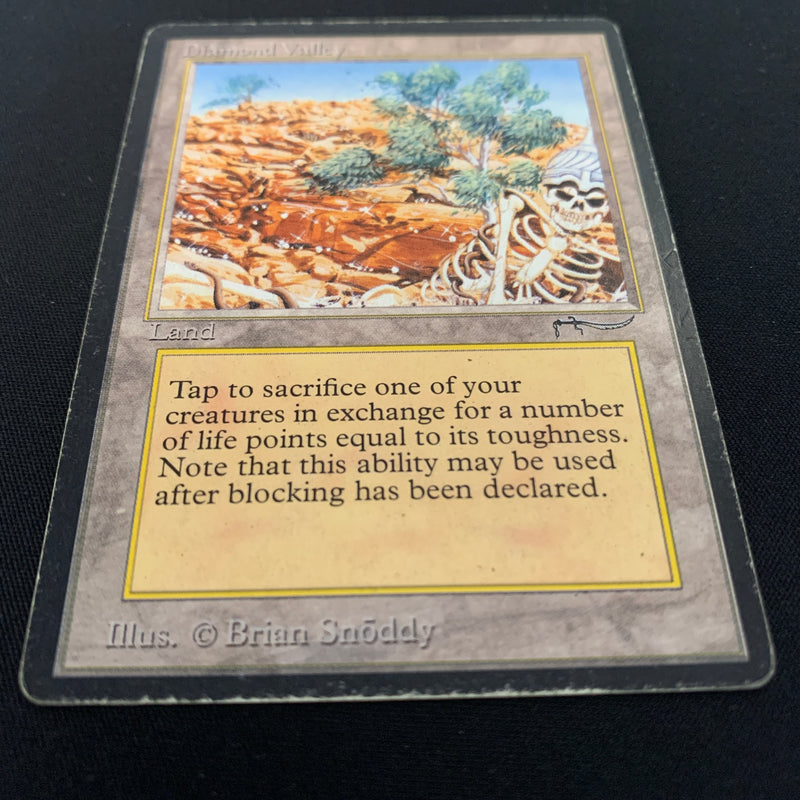 Magic the Gathering Diamond Valley - Arabian Nights 