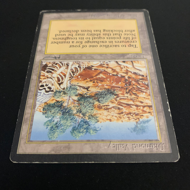 Magic the Gathering Diamond Valley - Arabian Nights 