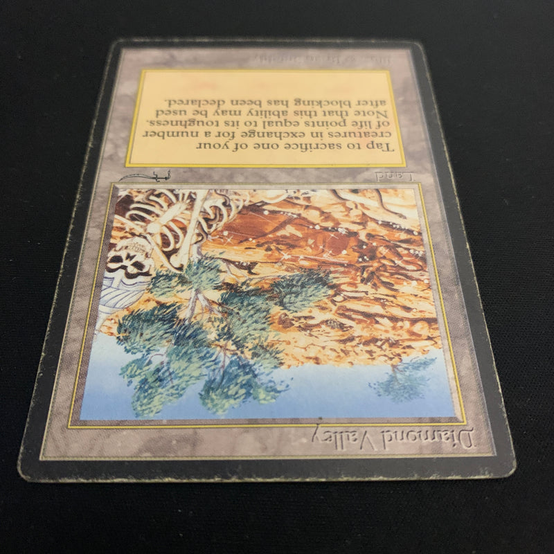 Magic the Gathering Diamond Valley - Arabian Nights 