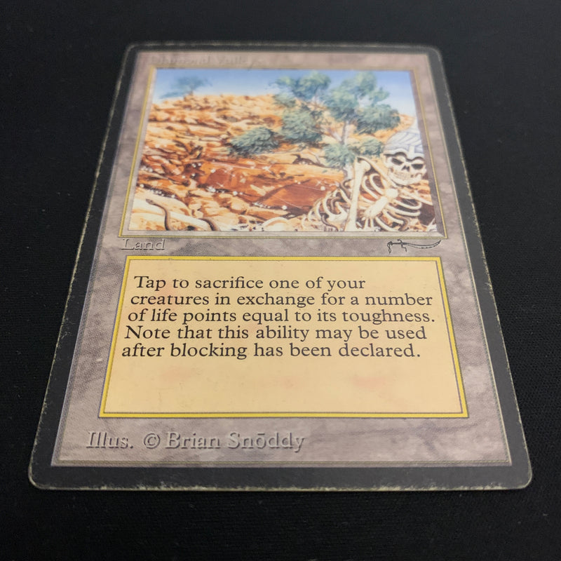 Magic the Gathering Diamond Valley - Arabian Nights 