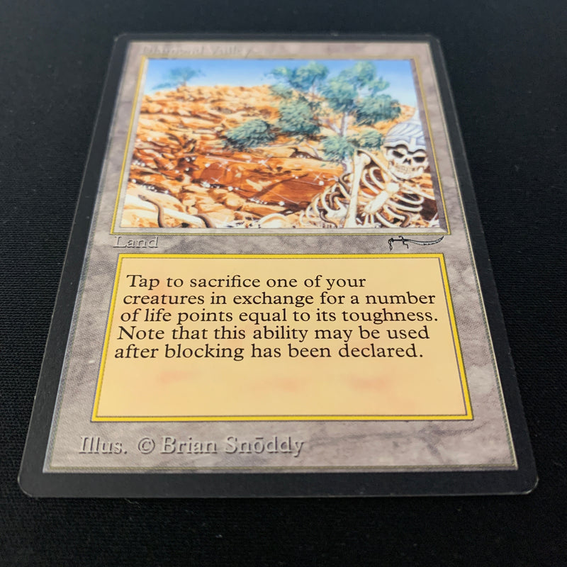 Magic the Gathering Diamond Valley - Arabian Nights 