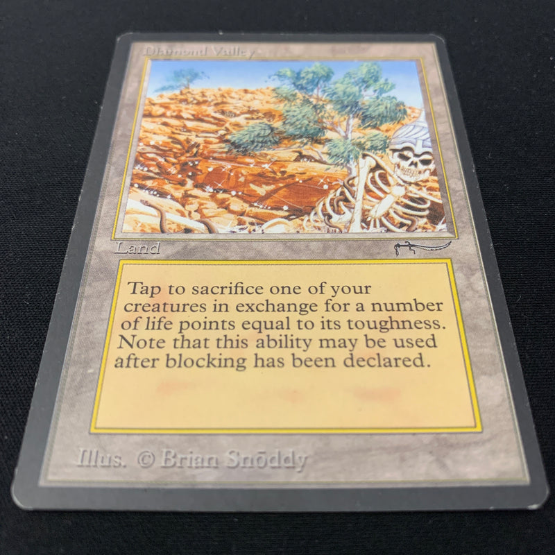 Magic the Gathering Diamond Valley - Arabian Nights 