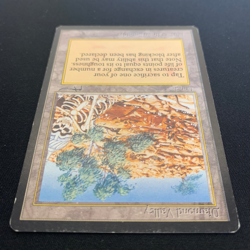 Magic the Gathering Diamond Valley - Arabian Nights 