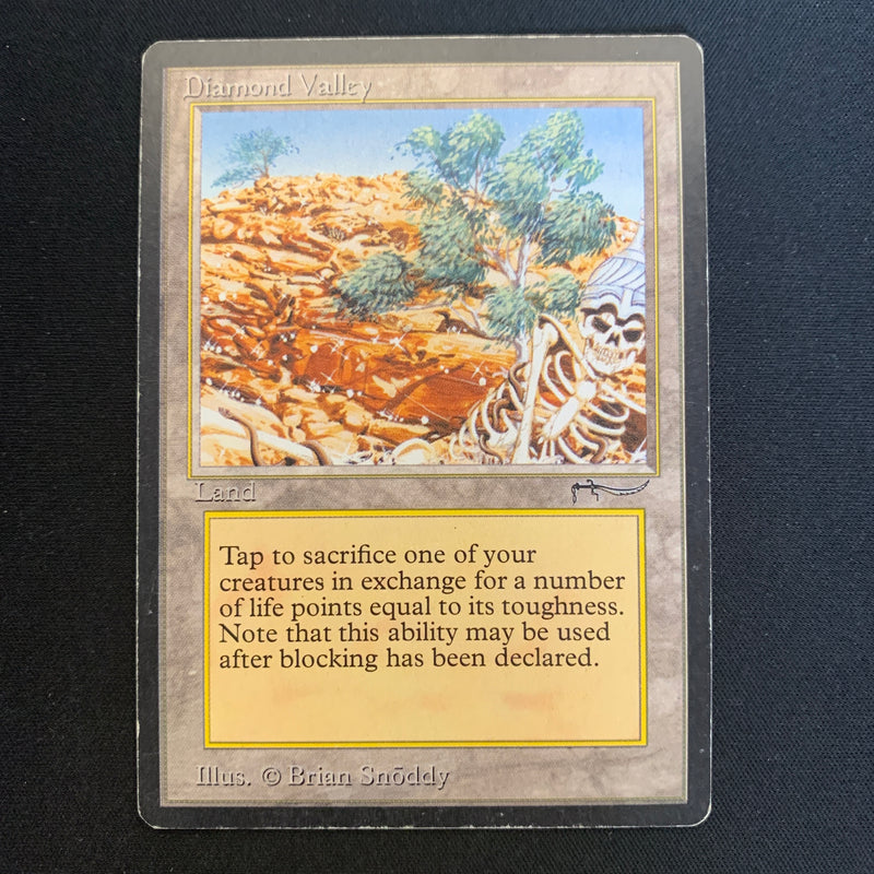 Magic the Gathering Diamond Valley - Arabian Nights 