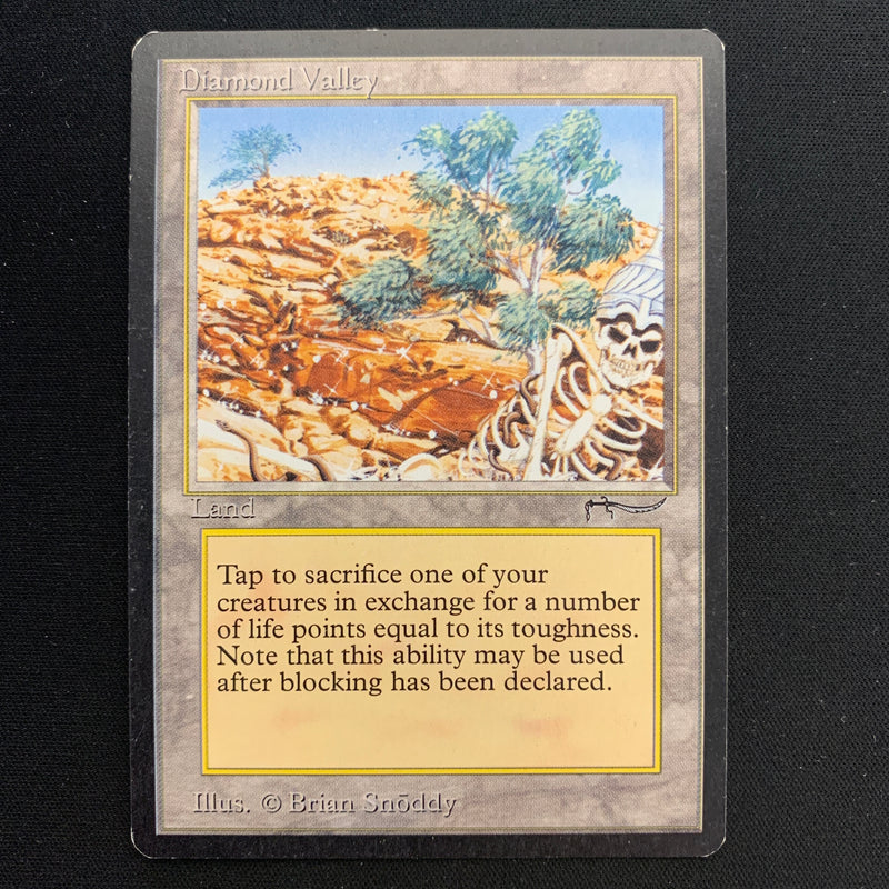 Magic the Gathering Diamond Valley - Arabian Nights 