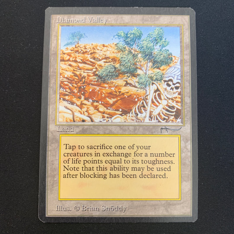 Magic the Gathering Diamond Valley - Arabian Nights 