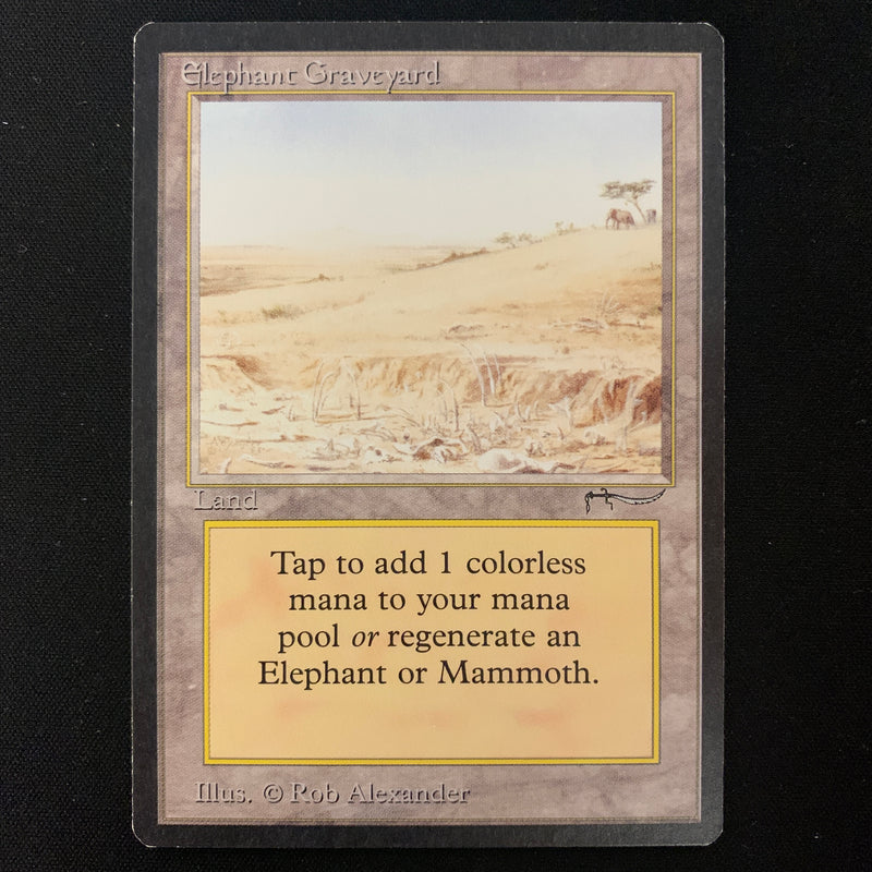 Magic the Gathering Elephant Graveyard - Arabian Nights EX - 23877