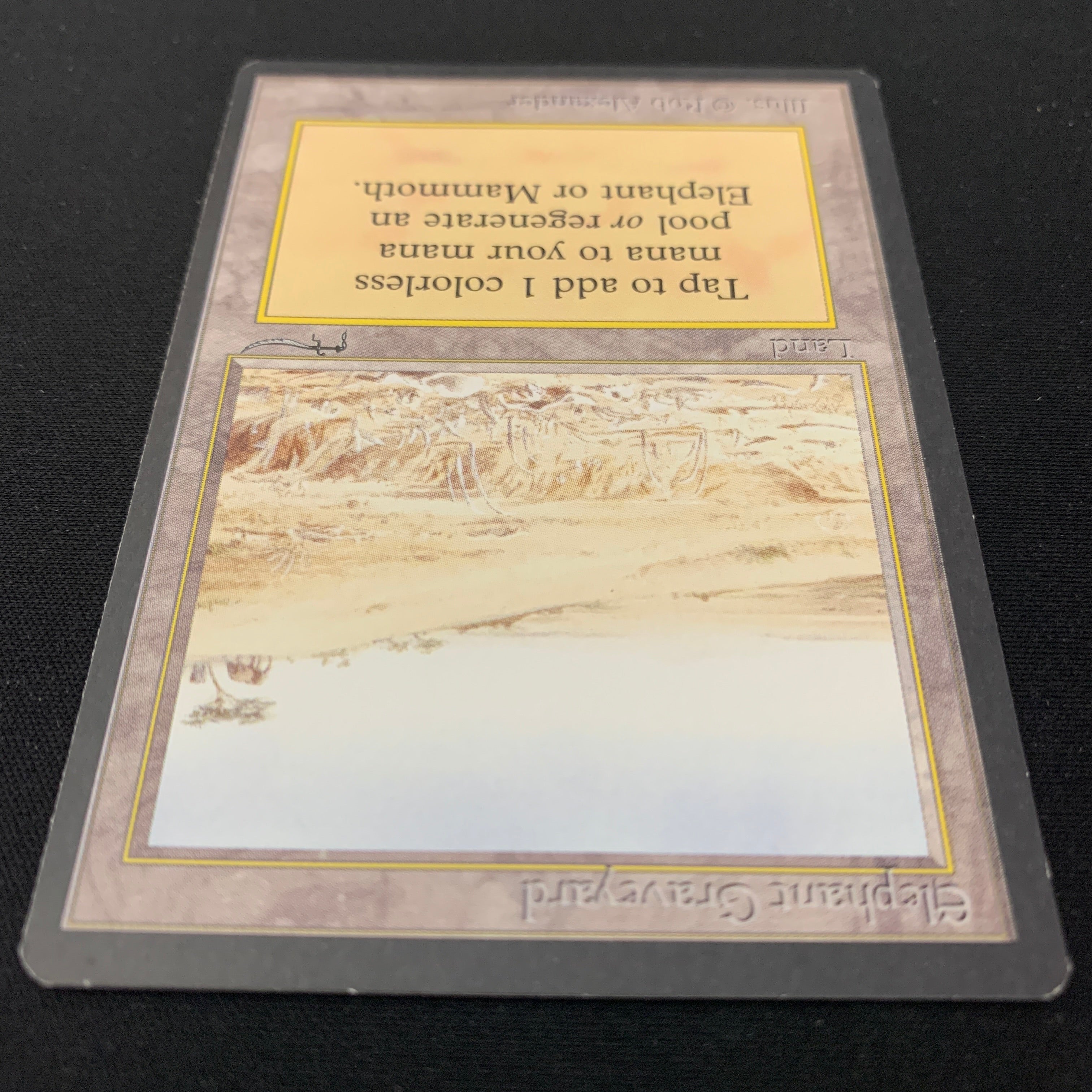 MTG Singles - Elephant Graveyard - Arabian Nights - 