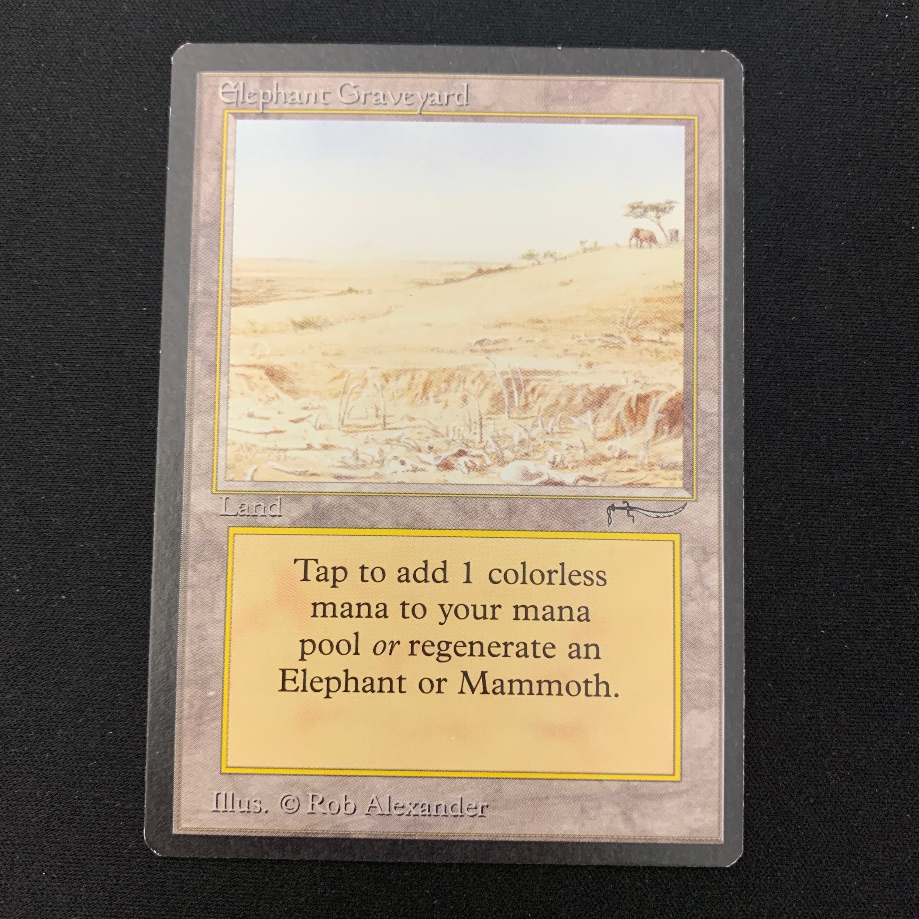 MTG Singles - Elephant Graveyard - Arabian Nights - 