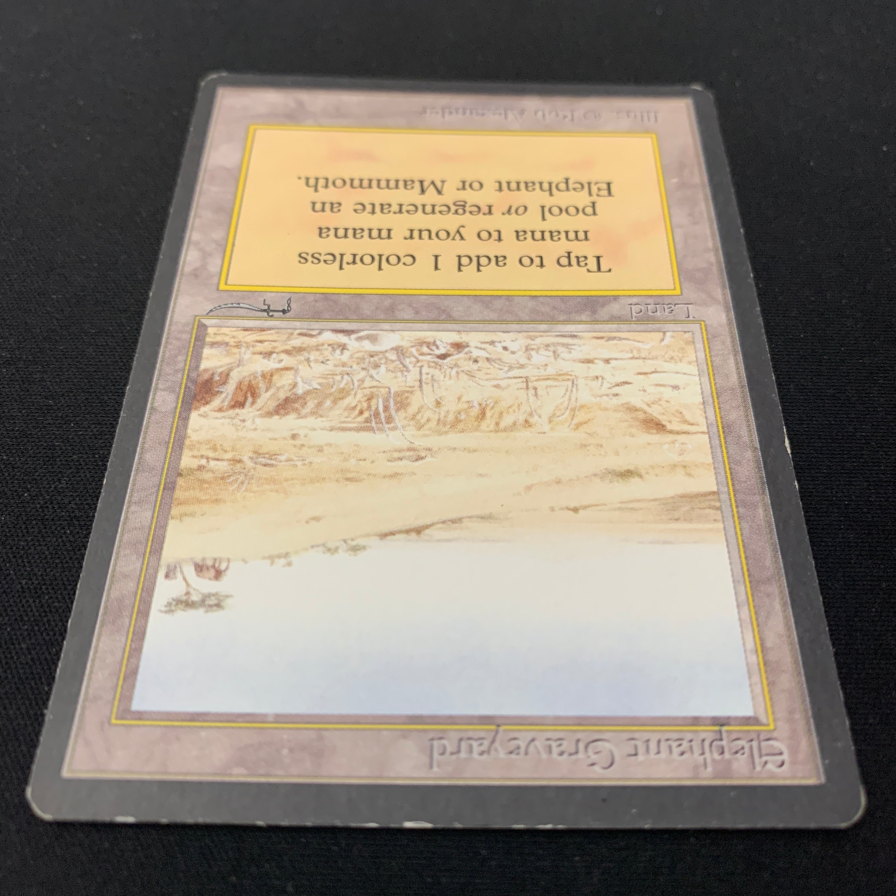 MTG Singles - Elephant Graveyard - Arabian Nights - 