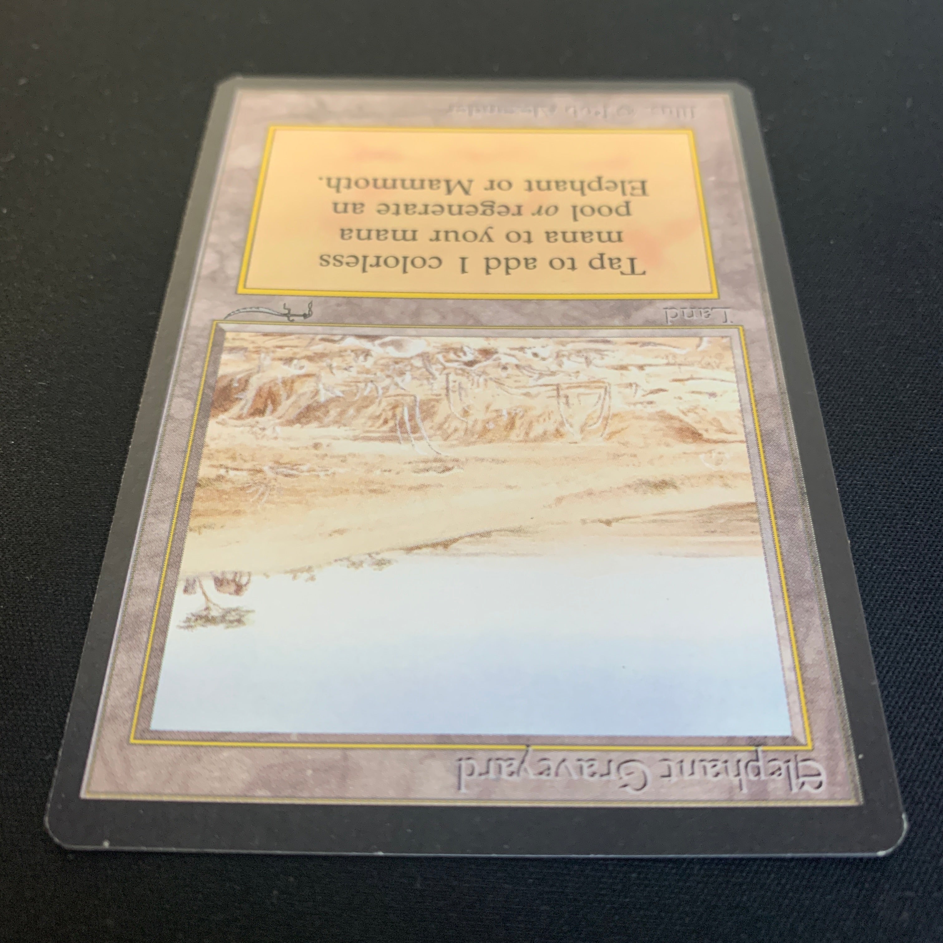 MTG Singles - Elephant Graveyard - Arabian Nights - 